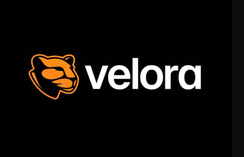 Design Showcase 2 Premium website redesign for real estate company in UAE